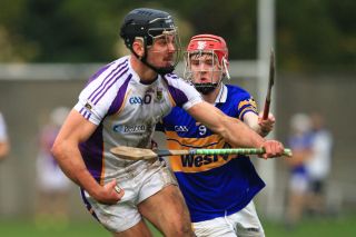 Senior B Hurlers unsuccessful in County Final