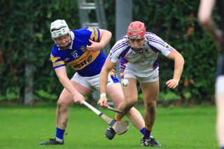 Senior B Hurlers unsuccessful in County Final