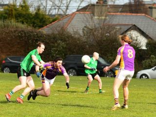 Go Ahead Adult Football League Division Four  Kilmacud Crokes Versus Lucan
