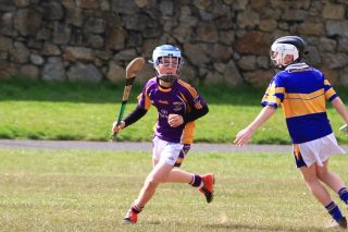 U12 Hurling Grp. 3 vs Castleknock