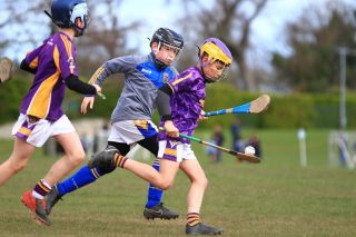 U12 Hurling Grp. 3 vs Castleknock