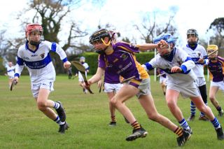 U12 Hurling A Grading Gp.1 vs St Vincents