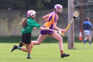 Camogie U18 Div 1 vs Lucan Sarsfields