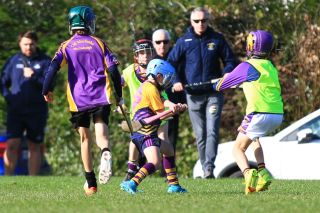 Half time games at Senior Hurling match