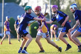 U15 Hurling Feile Div.1 Semi Final