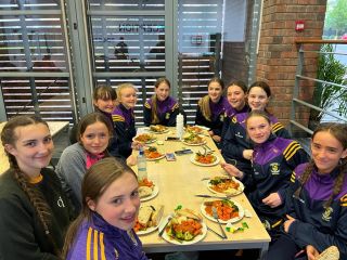 2007 (u15) ladies football team National Feile preparations 