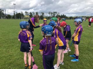 U9 and U13 Camogie Trip to Wexford 2022