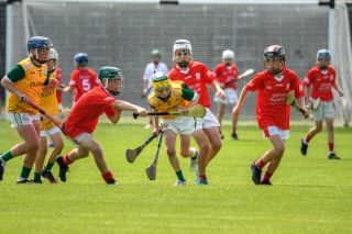  Beacon Hospital Hurling 7s - U12 Final