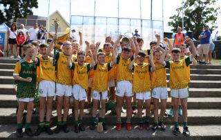  Beacon Hospital Hurling 7s - U12 Final
