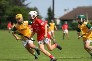  Beacon Hospital Hurling 7s - U12 Final