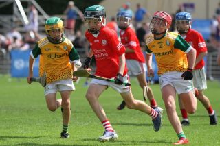  Beacon Hospital Hurling 7s - U12 Final