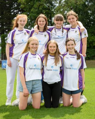 Some More Photo's of the Kilmacud Crokes Beacon Hospital Football 7's