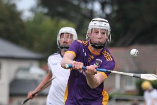 U17 A Hurlers vs Dublin U16 Team