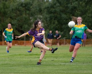 Ladies Football Go-Ahead Senior Championship Group A  Kilmacud Crokes V CLANNA GAEL/FONTENOY