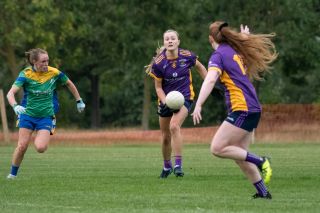 Ladies Football Go-Ahead Senior Championship Group A  Kilmacud Crokes V CLANNA GAEL/FONTENOY
