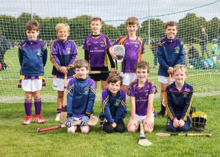 Kilmacud Crokes Festival of Hurling