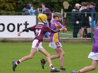 U12 Festival of Hurling 