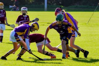 U12 Hurling League Div.11 vs Raheny
