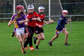 U12 Hurling League Div.11 vs. Trinity Gaels