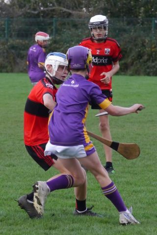 U12 Hurling League Div.11 vs. Trinity Gaels