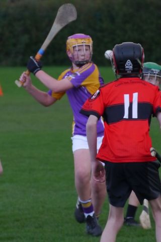 U12 Hurling League Div.11 vs. Trinity Gaels