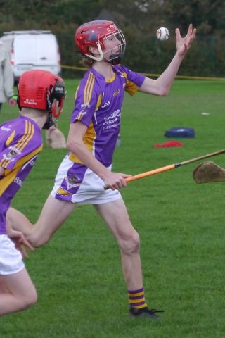 U12 Hurling League Div.11 vs. Trinity Gaels