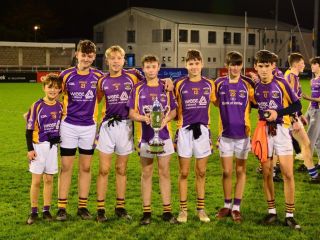 Kilmacud Crokes Under 14 Division 1 Cup Winners 