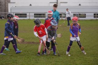 U10 Hurling Gp.1Z  vs St Brigids