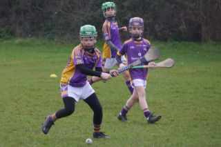 U10 Hurling Gp.1Z  vs St Brigids