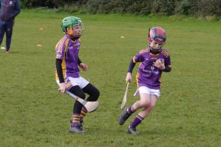 U10 Hurling Gp.1Z  vs St Brigids