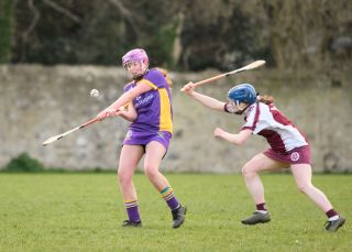 Camogie Junior 3 League   Kilmacud Crokes Versus St Finians