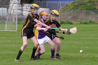 KC3 (2010 group) Hurling vs Wild Geese