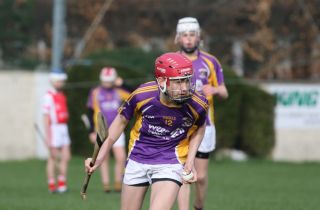 U15 Hurling Feile Div.6 Gp.A vs Cula