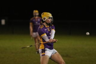 Minor Hurling League Division One vs Ballyboden St Endas