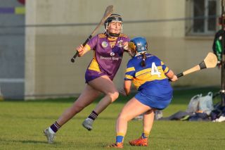 Camogie Senior 1 League vs Castleknock