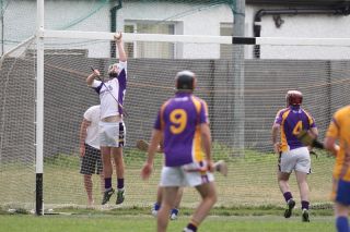 2013_07_21_71658AHL1_NaFiannaW