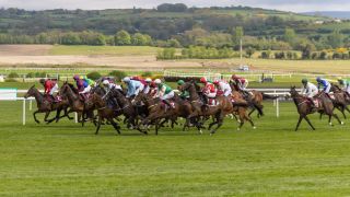 Punchestown 2026 - Racing
