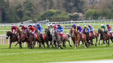 Hurling Section Corporate Race Day 2023