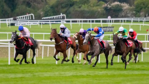 Hurling Section Corporate Race Day 2023