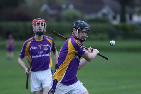 Adult Hurling League Division Seven vs St Brendans