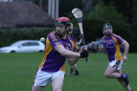 Adult Hurling League Division Seven vs St Brendans