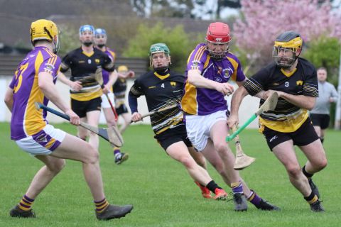 Adult Hurling League Division Seven vs St Brendans