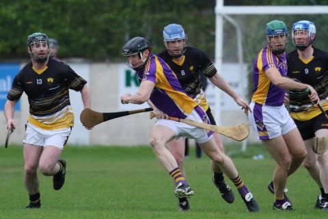 Adult Hurling League Division Seven vs St Brendans
