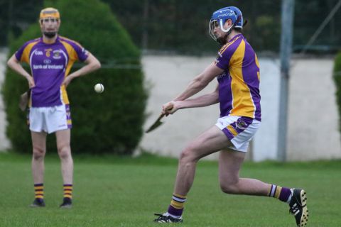 Adult Hurling League Division Seven vs St Brendans