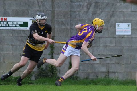 Adult Hurling League Division Seven vs St Brendans