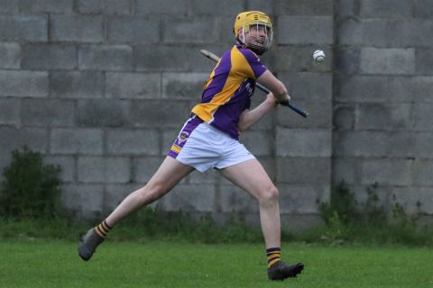 Adult Hurling League Division Seven vs St Brendans