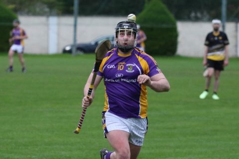 Adult Hurling League Division Seven vs St Brendans