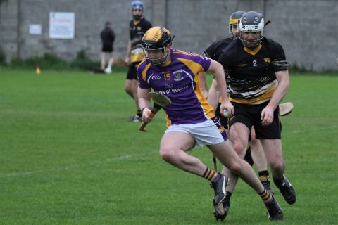 Adult Hurling League Division Seven vs St Brendans