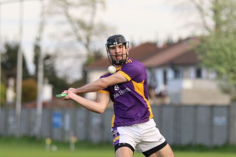 Adult Hurling League Division Three vs Bray Emmets