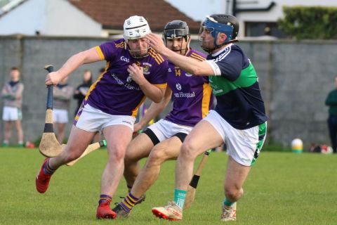 Adult Hurling League Division Three vs Bray Emmets